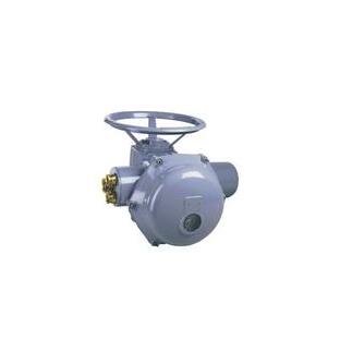 德國RTK電動執(zhí)行機(jī)構(gòu)